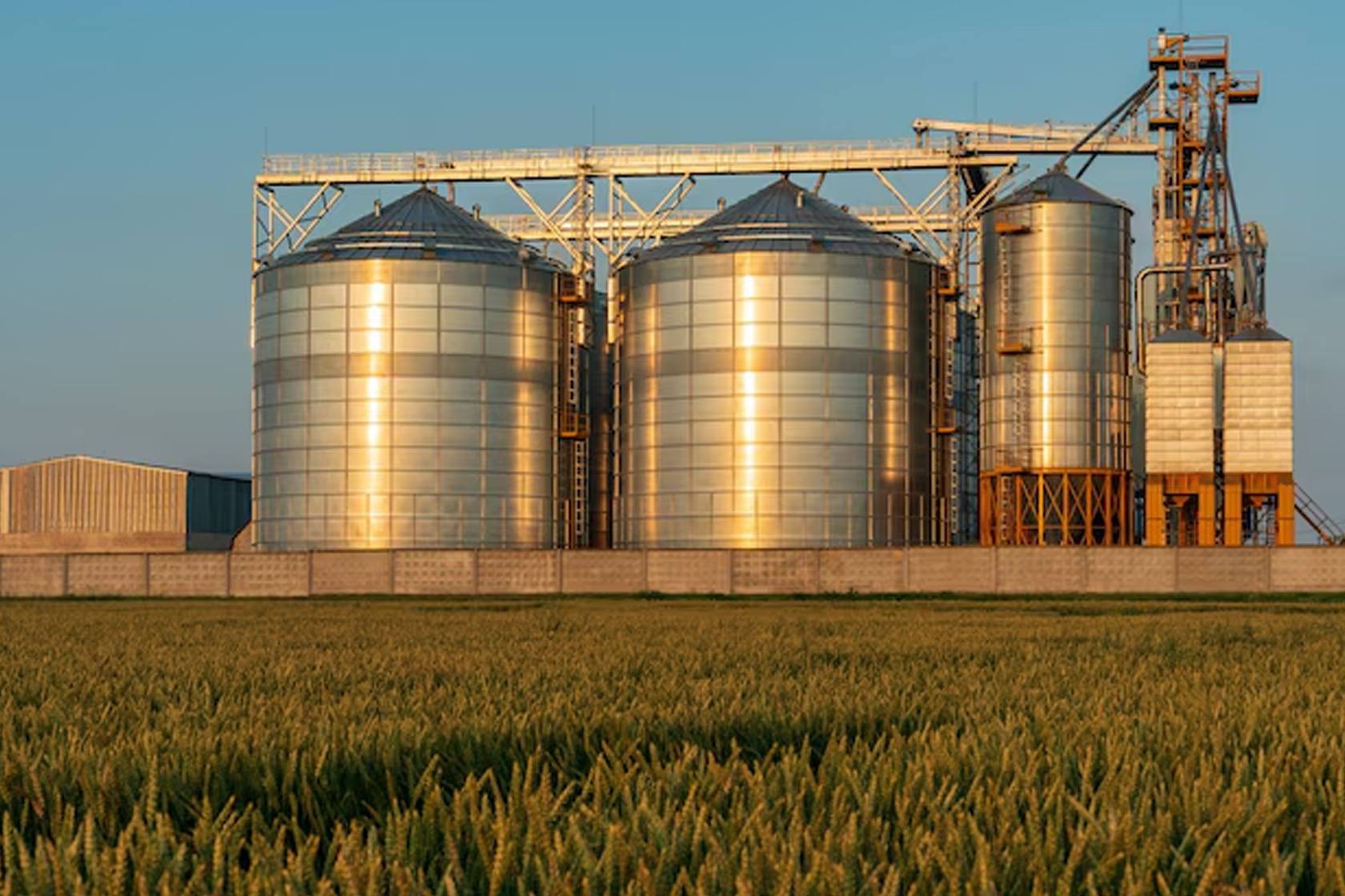 Selecting Steel Plate Silos: Material & Operational Guide