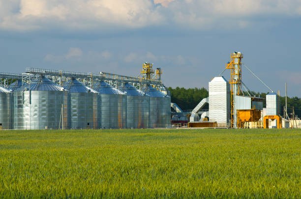 Poultry Feed Silo Buyer’s Guide: 10 Critical Criteria